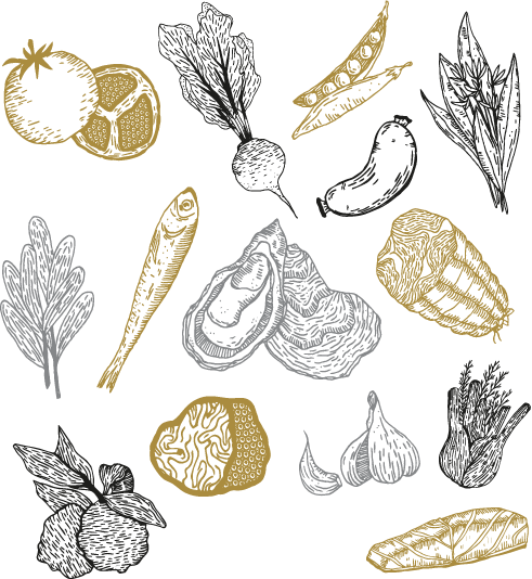 All Food Illustrations